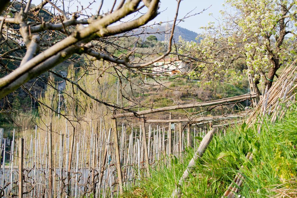 Appartement Family House à Levanto Chambre photo